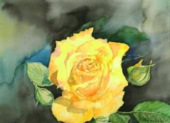  rose jaune - Zdzisław Rutkowski