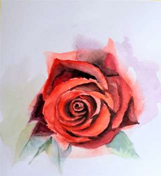 Różą w kolorze czerwonym - Zdzisław Rutkowski