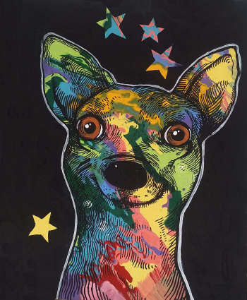 Colorful doggy - anna kowalska