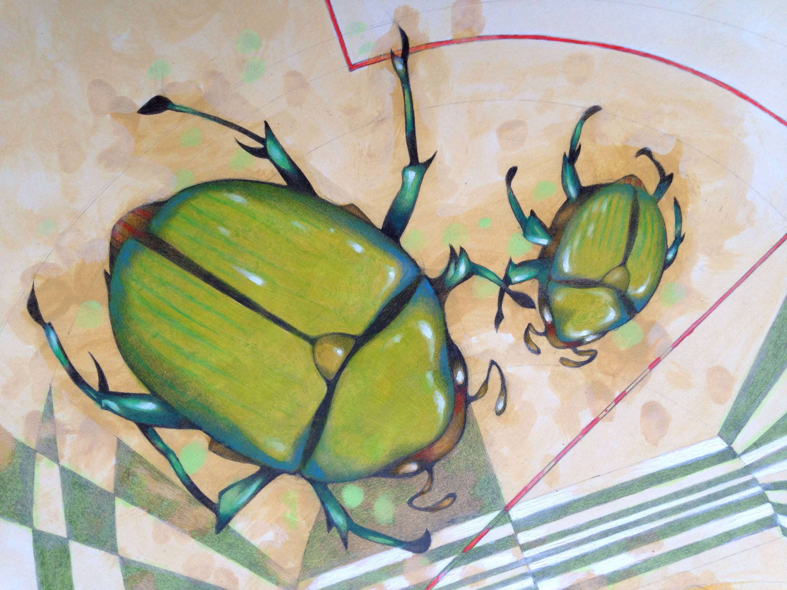 The measurement of space / beetles and bees - federico cortese | TouchofArt
