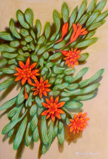 fleurs rouges III - federico cortese