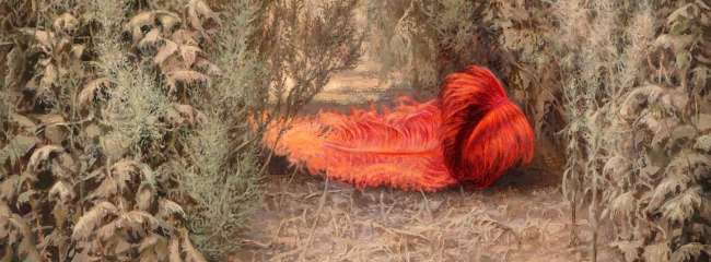 Nadzieja - Joanna Sierko Filipowska